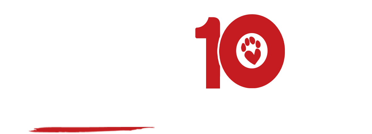 Puppy Love 10th Anniversary logo featuring the text "Puppy Love" with a red number 10 and paw print icon.