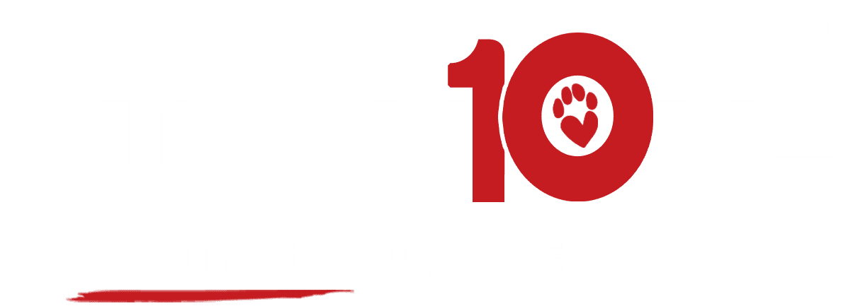 10 years logo footer-1