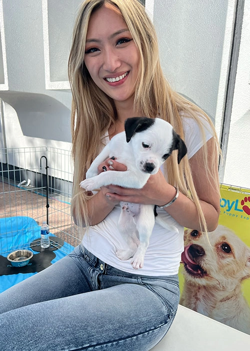 A tesla employee enjoying all the benefits that puppies can offer - book a puppy love™ puppy therapy experience today!