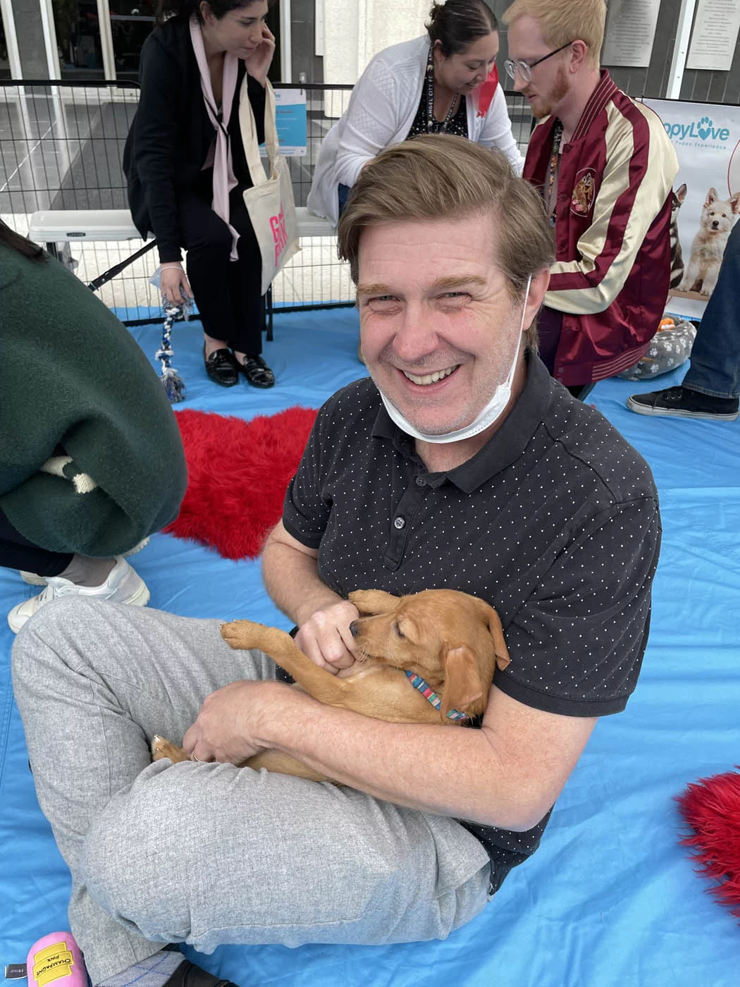Puppy love™ puppies making peoples day at wellness events.