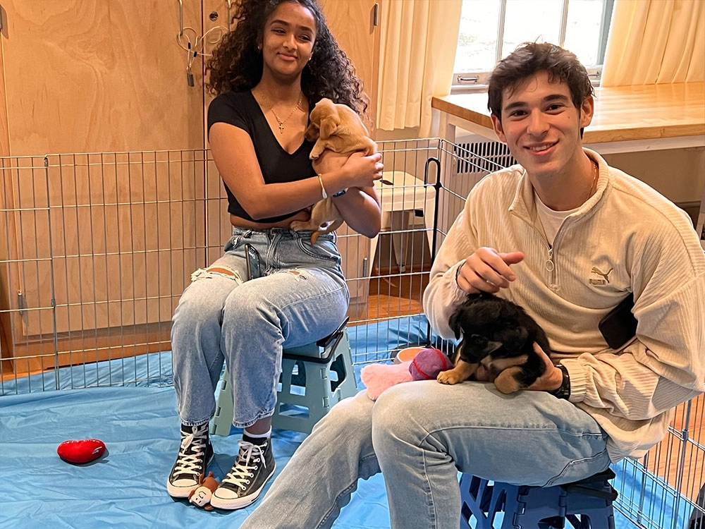 Adorable puppies cuddled up at a puppy love™ puppy experience.