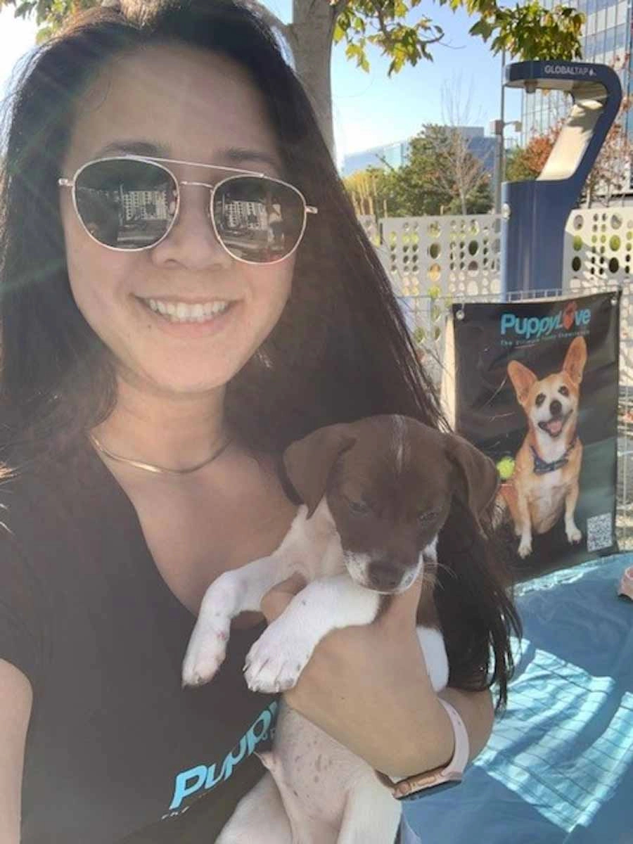 An - puppy coach