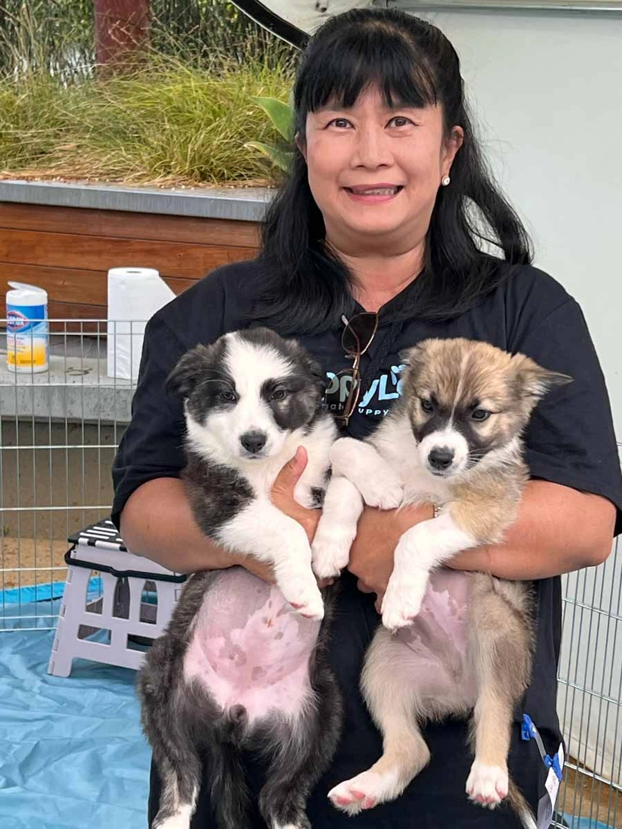 Cheryl - puppy coach