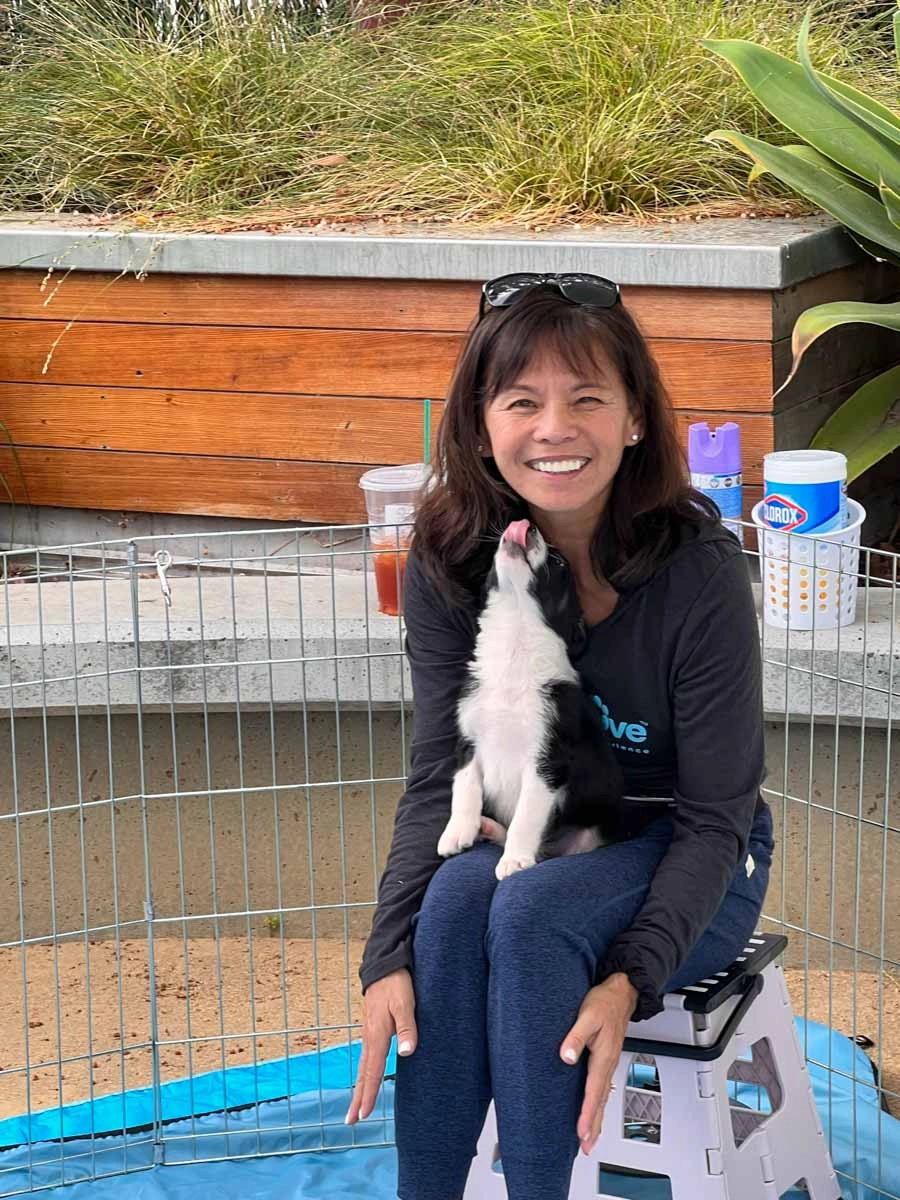 Chris - puppy coach