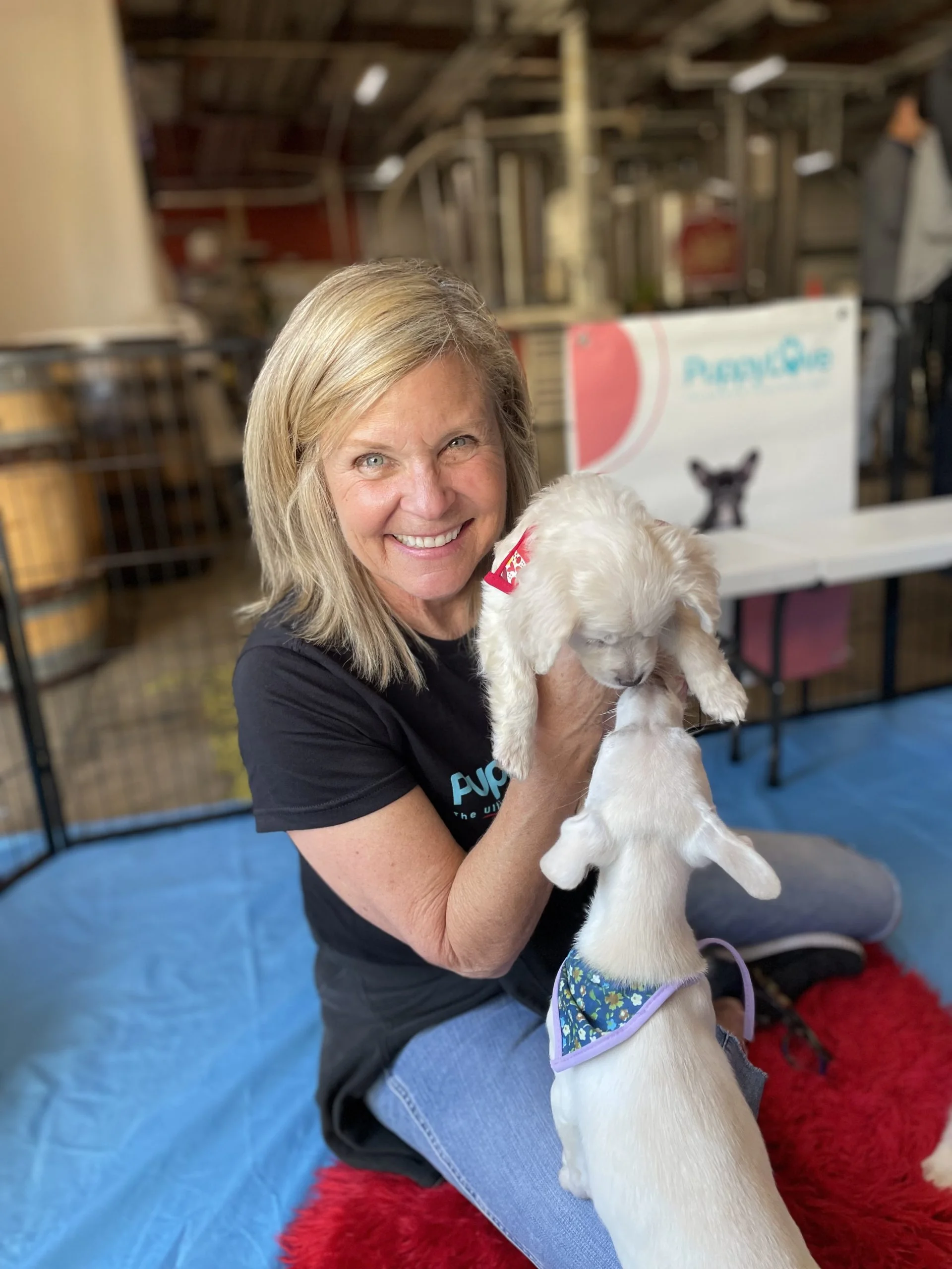 Smiling blonde woman sitting on a blue mat holding up a small white puppy while another white puppy stands on its hind legs.