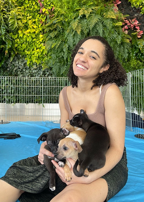 Wellness ideas don't have to be complicated - just adorable like puppies!