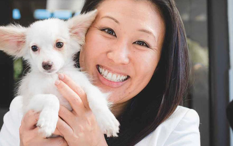 The Ultimate Puppy Experience: See how our puppy experience brings joy to your employees and clients.