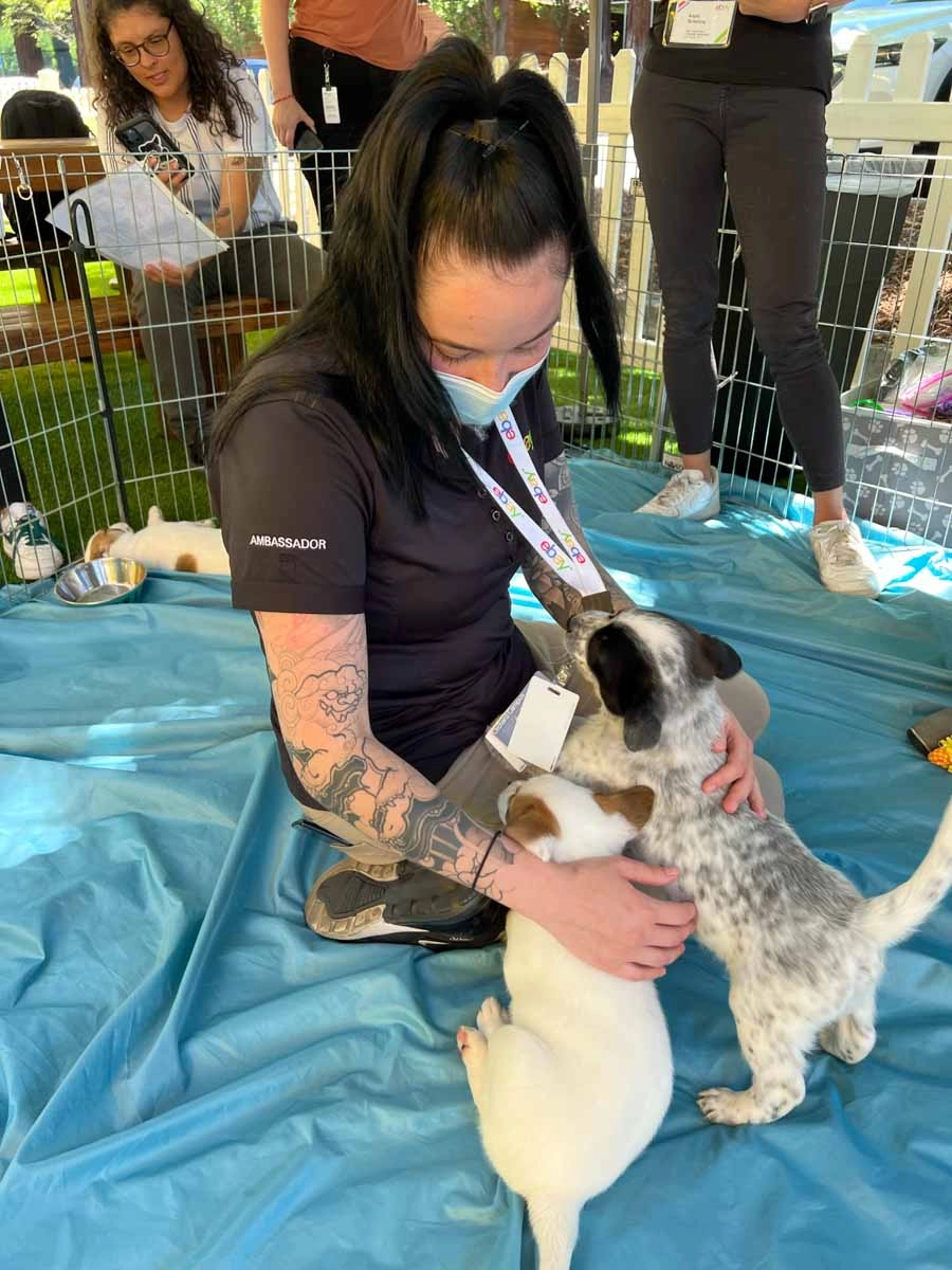 Ebay employees playing with puppies - puppy love™ wellness ideas for employees.