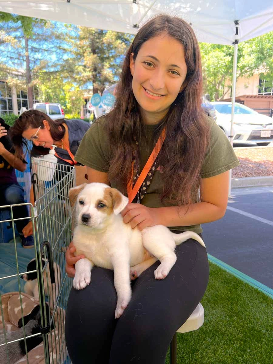 This woman gets some puppy snuggles with puppy love™'s puppy experiences.