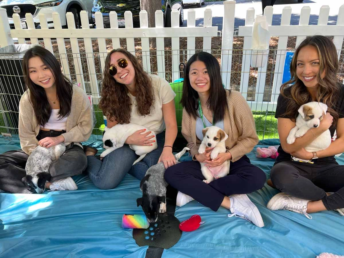 Employees playing with a puppies as part of puppy love™'s wellness group activities.