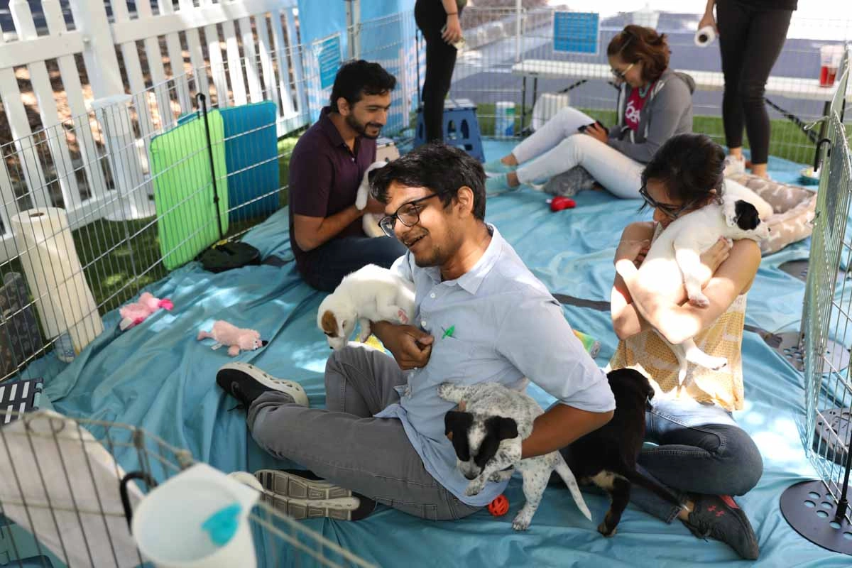 Man with a cute puppy at a puppy experience with puppy love™.
