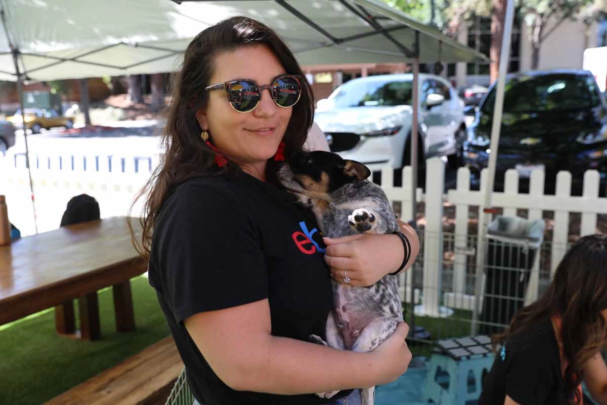 Puppy love™ in-office event - perfect wellness ideas for employees.