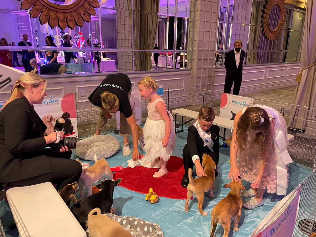 Man with a cute puppy at an out of the box wellness experience with puppy love™.
