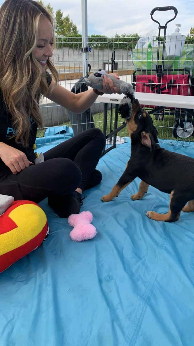 A google employee enjoying the wellness benefits that puppy love™ provides.
