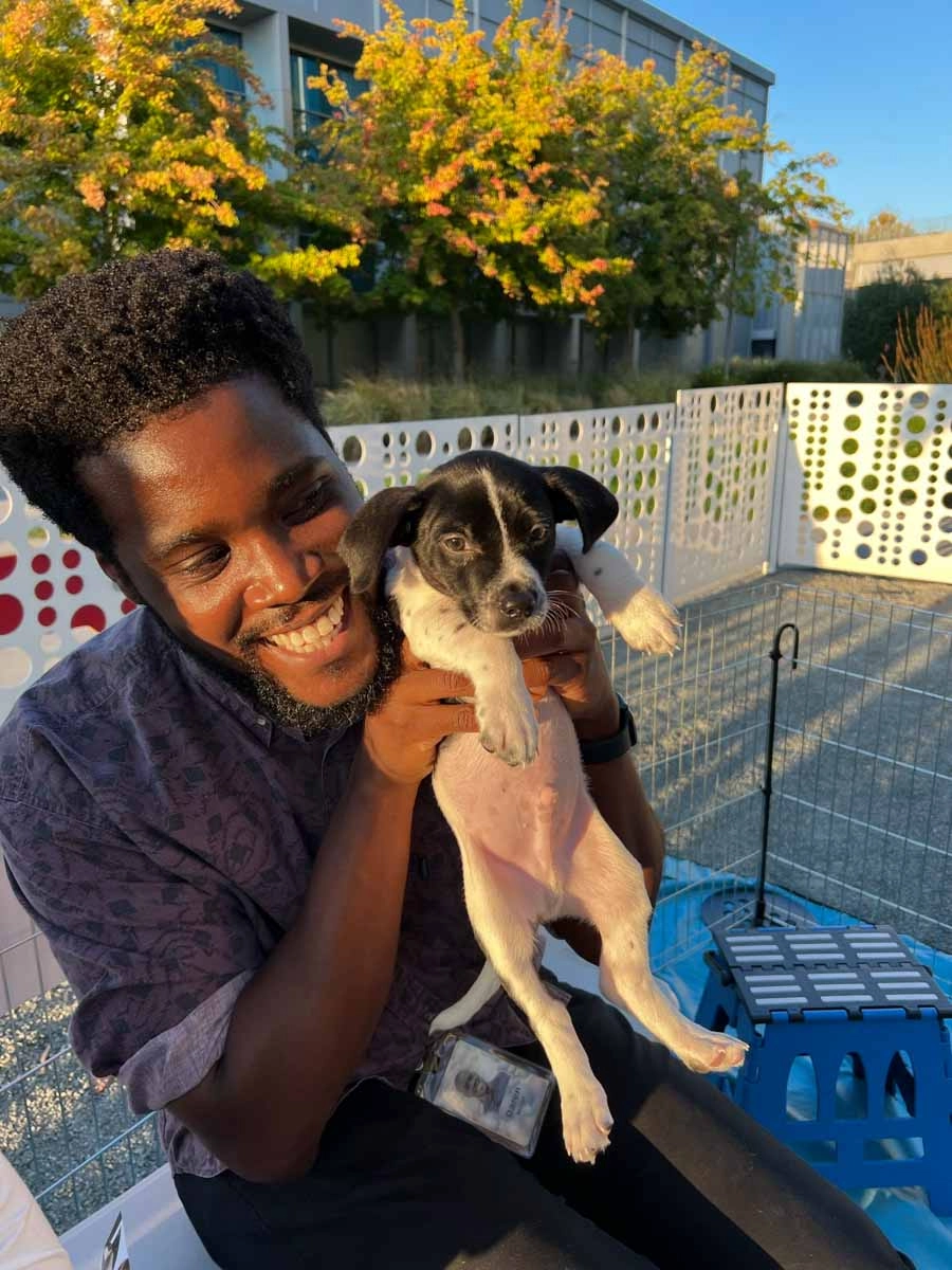 Employees go gaga over puppy love™'s services.