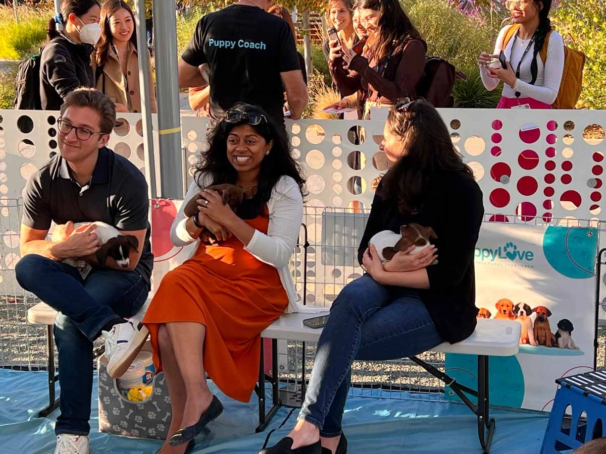 Women playing with puppies