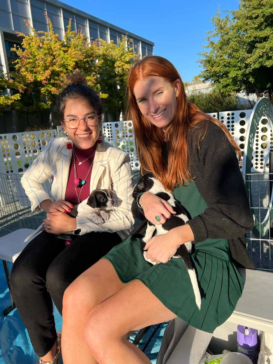 Whats better than bonding with your co-workers and holding puppy love™ puppies - nothing!
