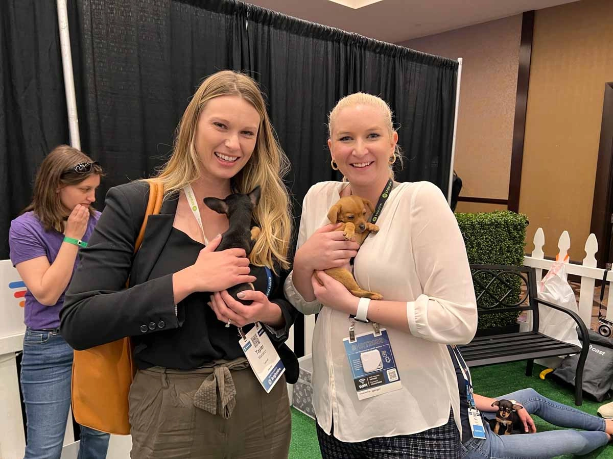 Puppy love™'s puppy experiences are the best out of box wellness ideas for events.