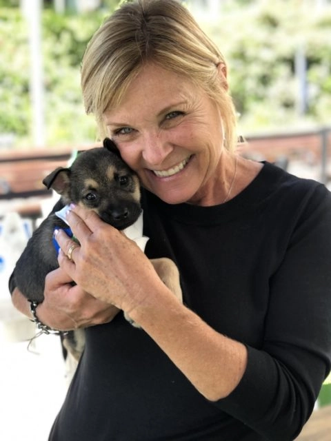 Corporate puppy therapy experiences with puppy love™.