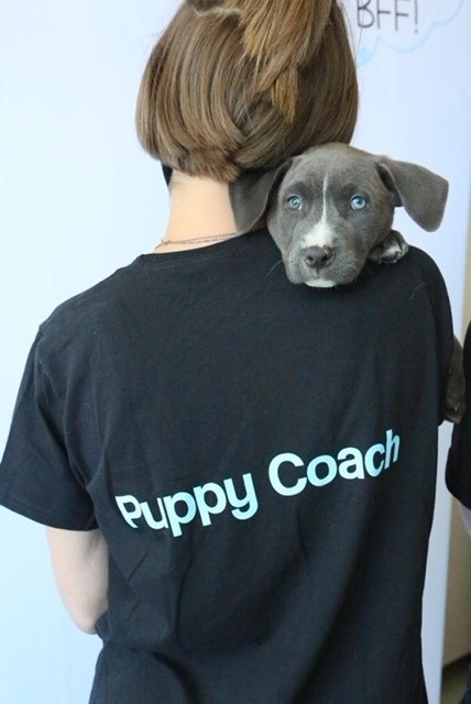 Puppy coach with puppy love™.