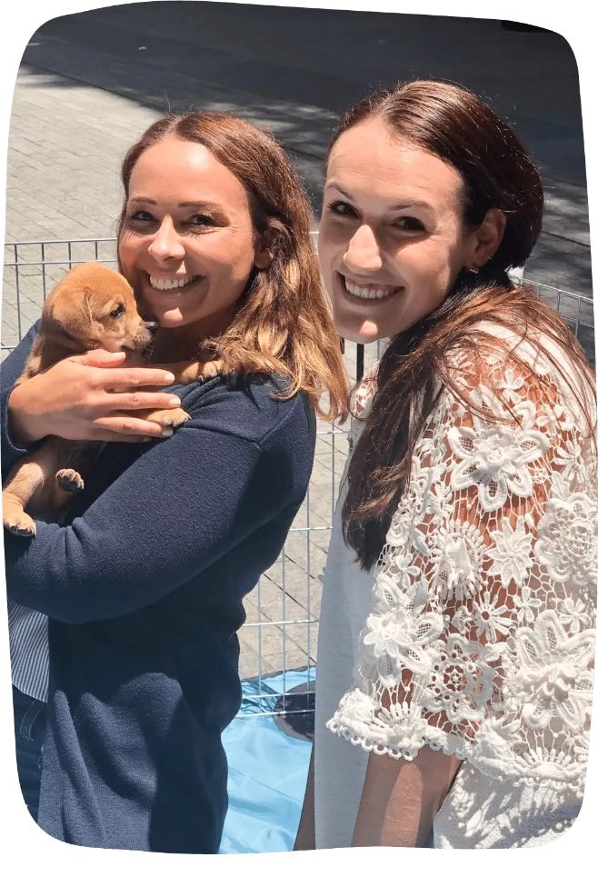 Corporate puppy therapy experiences with puppy love™.