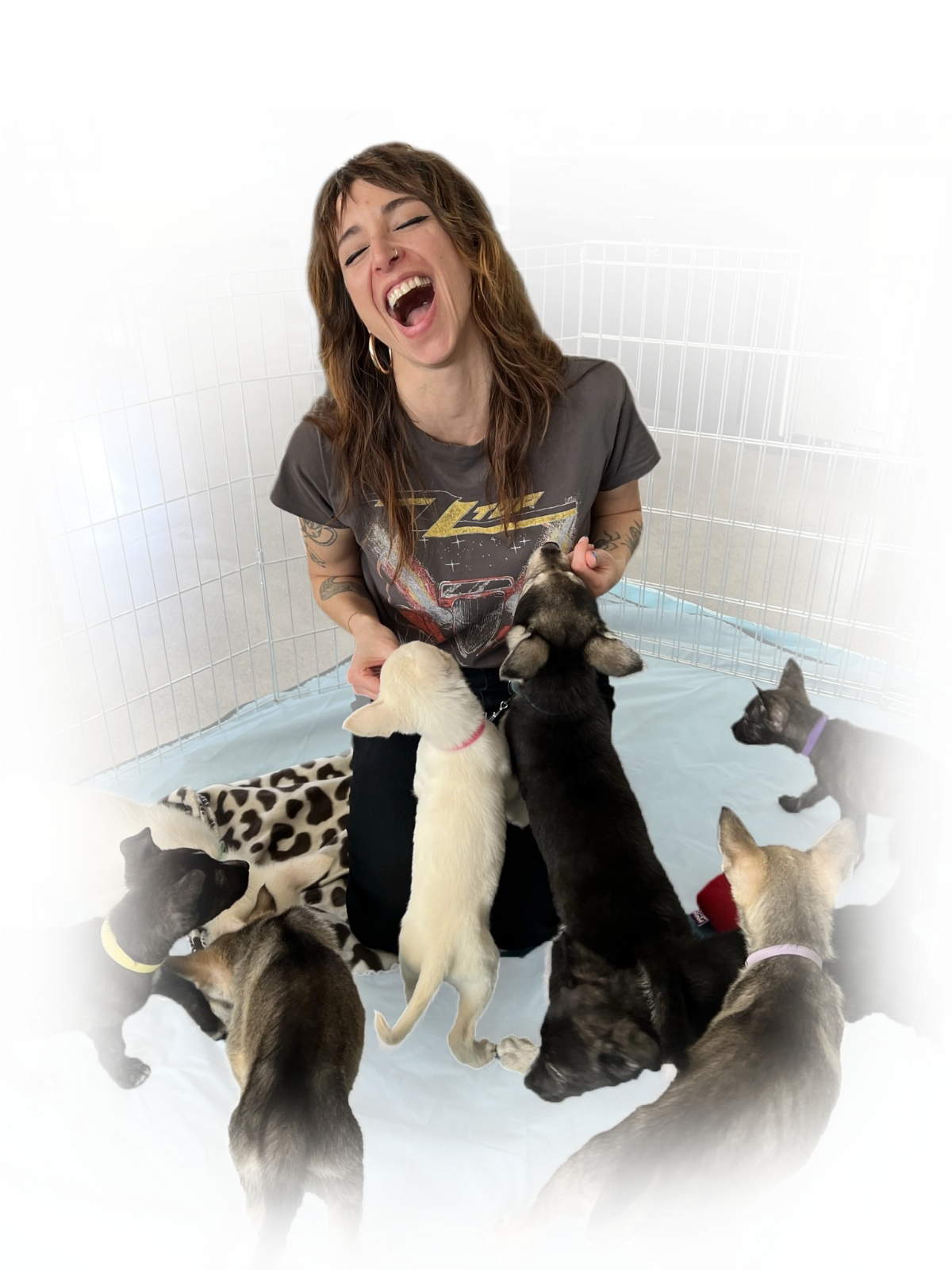 Puppy love™ puppy coach playing with a littler of puppies.