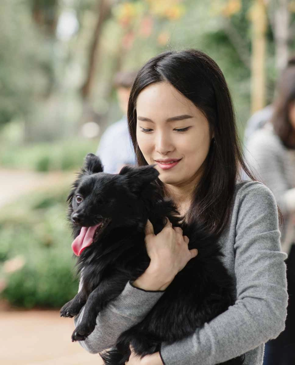 Employee playing with a puppy as part of work wellness activities.