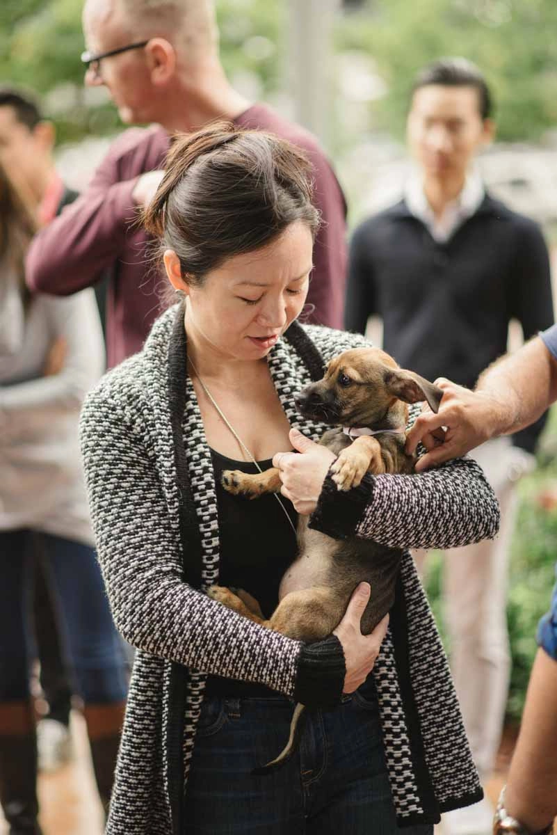 Alt="help a puppy love™ dog find a forever home - book an event today! "
