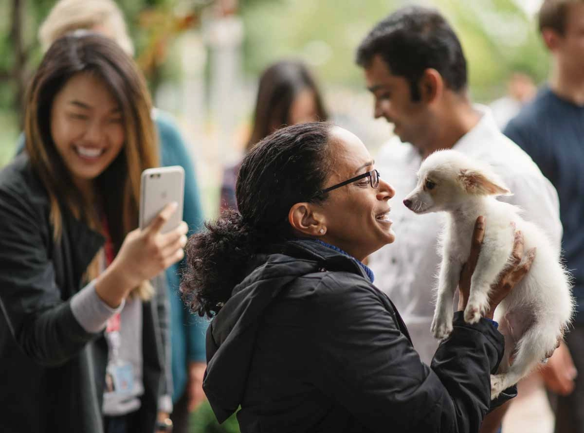 Employees go gaga over puppy love™'s services.