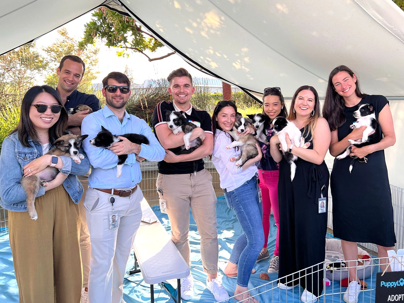 Group of people holding puppies