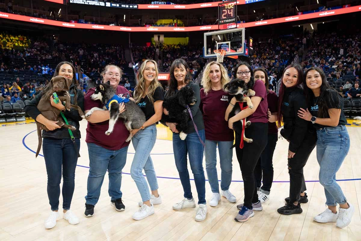 Puppy love™'s puppy experiences are the best out of box wellness ideas for events.