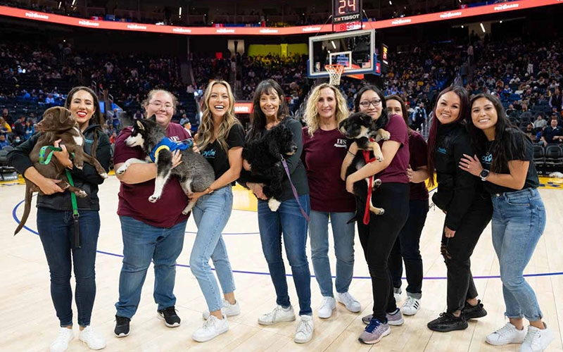 Golden State Warriors 119 Warriors puppy love™