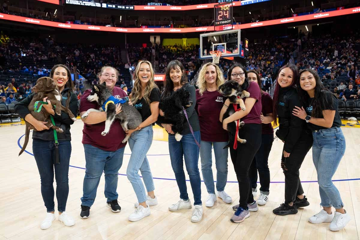 Warriors game with puppies