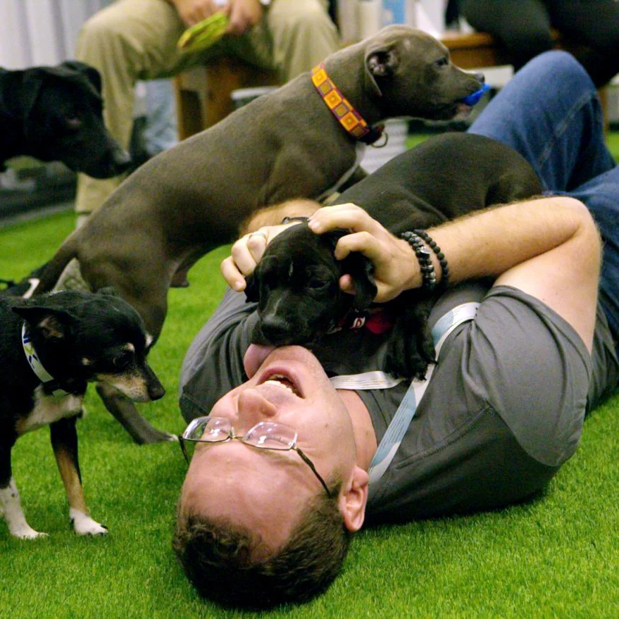 corporate wellness that works