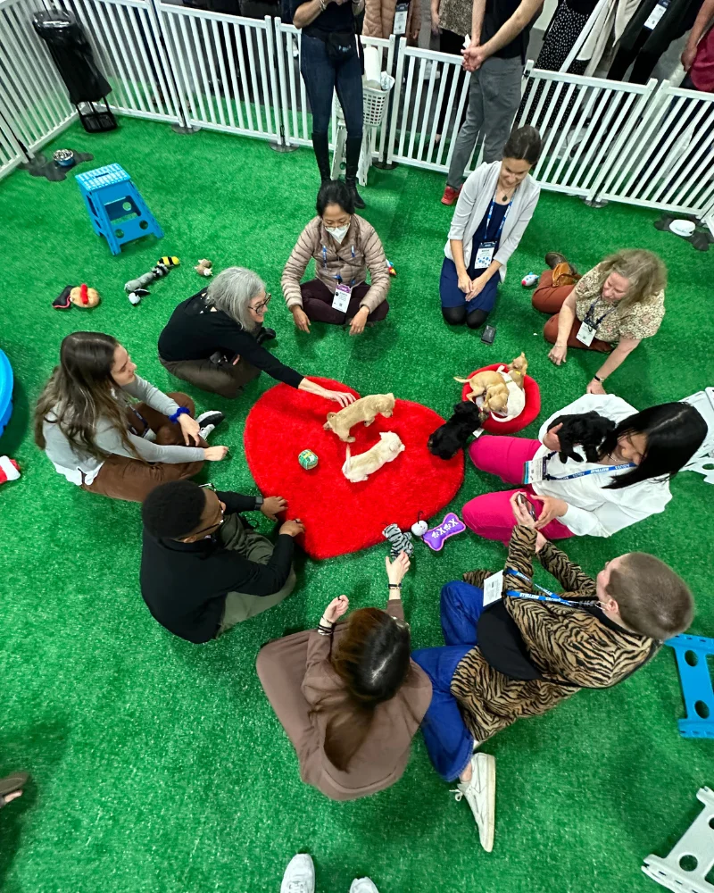 Paws for effect - group of people connecting and conversing with puppies (2)
