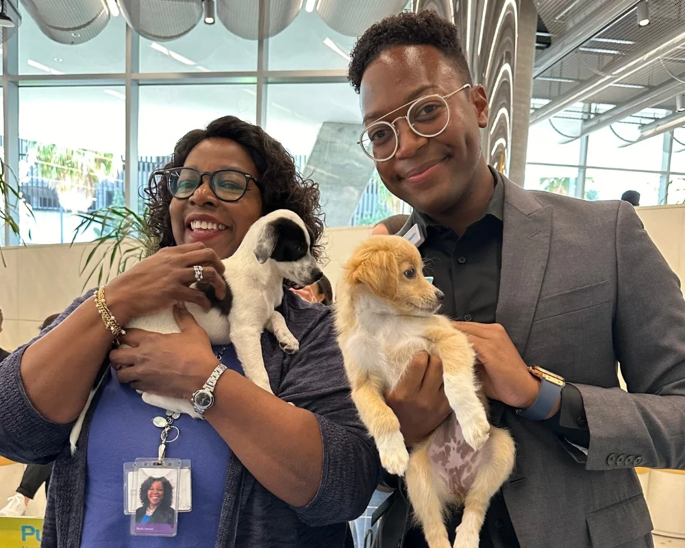 office puppies improve office culture