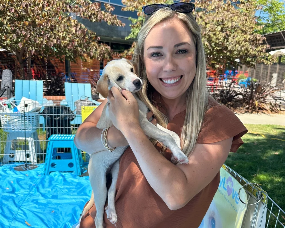 Puppy love at google