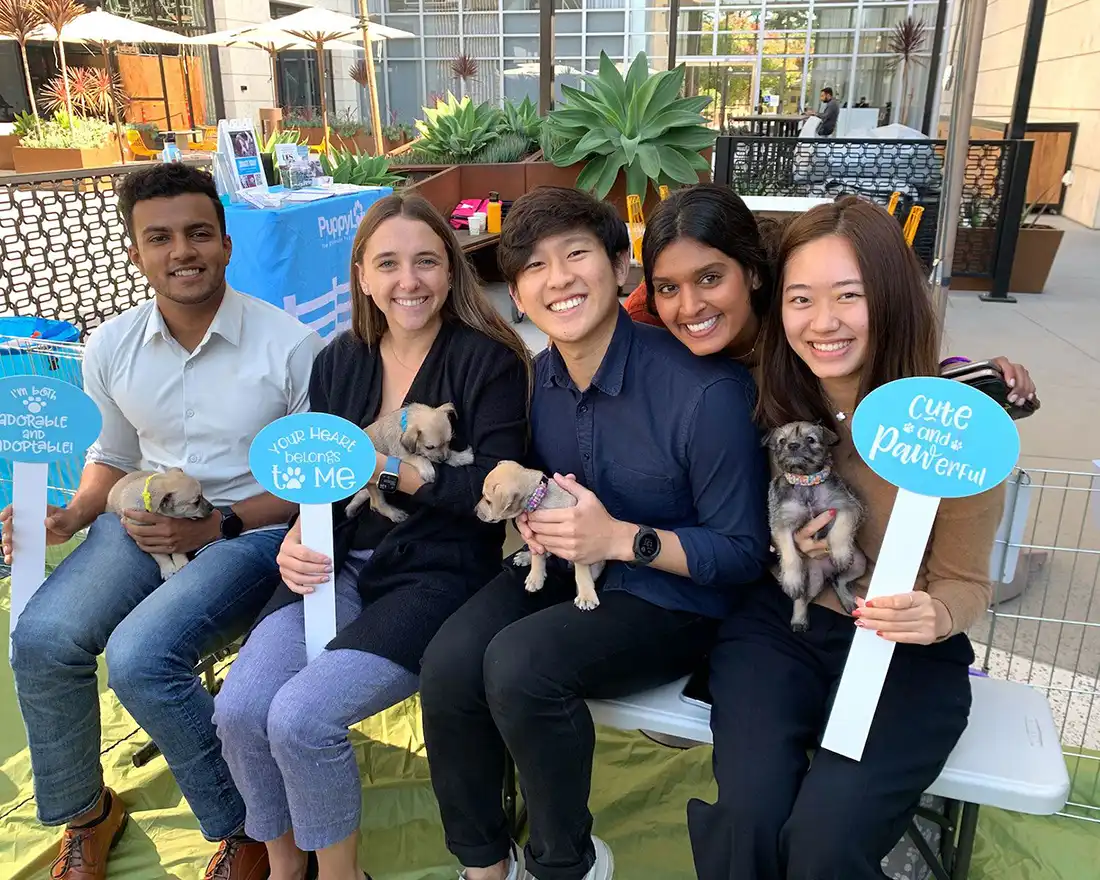 Corporate team building that gets tails wagging 1