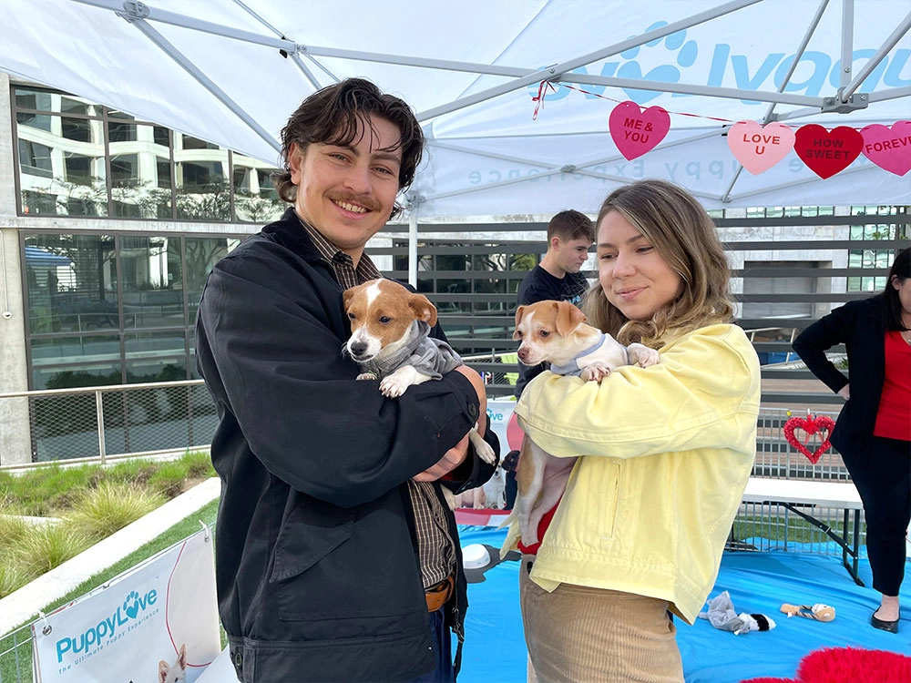 A man and a women holding puppies at a puppy love party