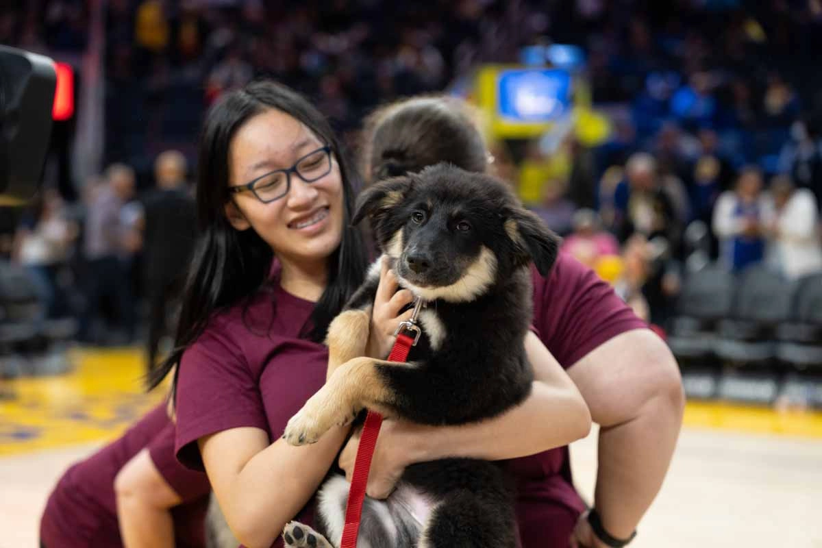 A women and man chatting at a puppy love™ event while holding a black pup.