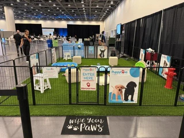 Puppy love puppy play area at a corporate event.