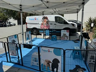 Puppy love outdoor puppy play area with branded fencing.