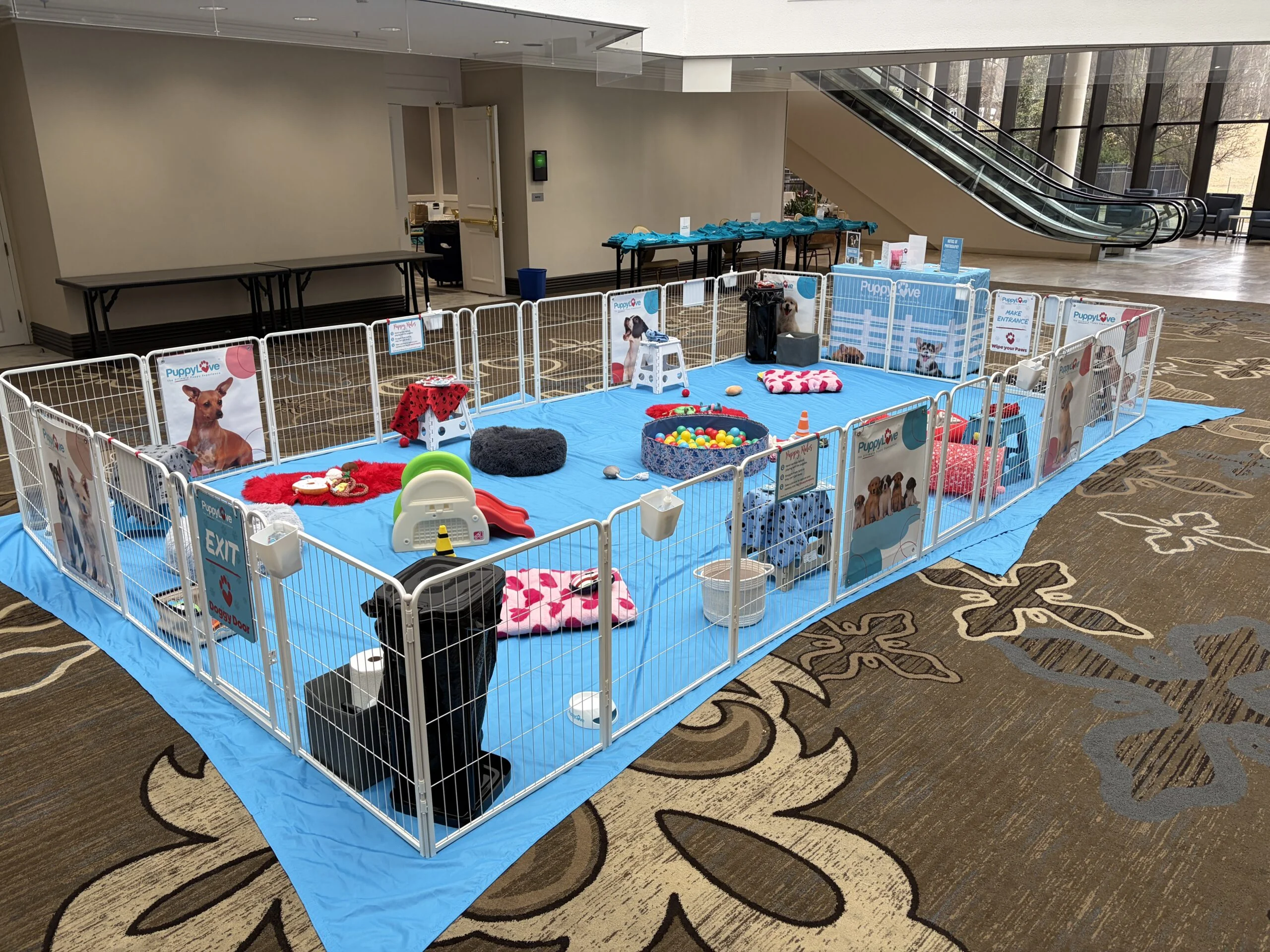 Puppy love corporate puppy play area with toys and fencing.