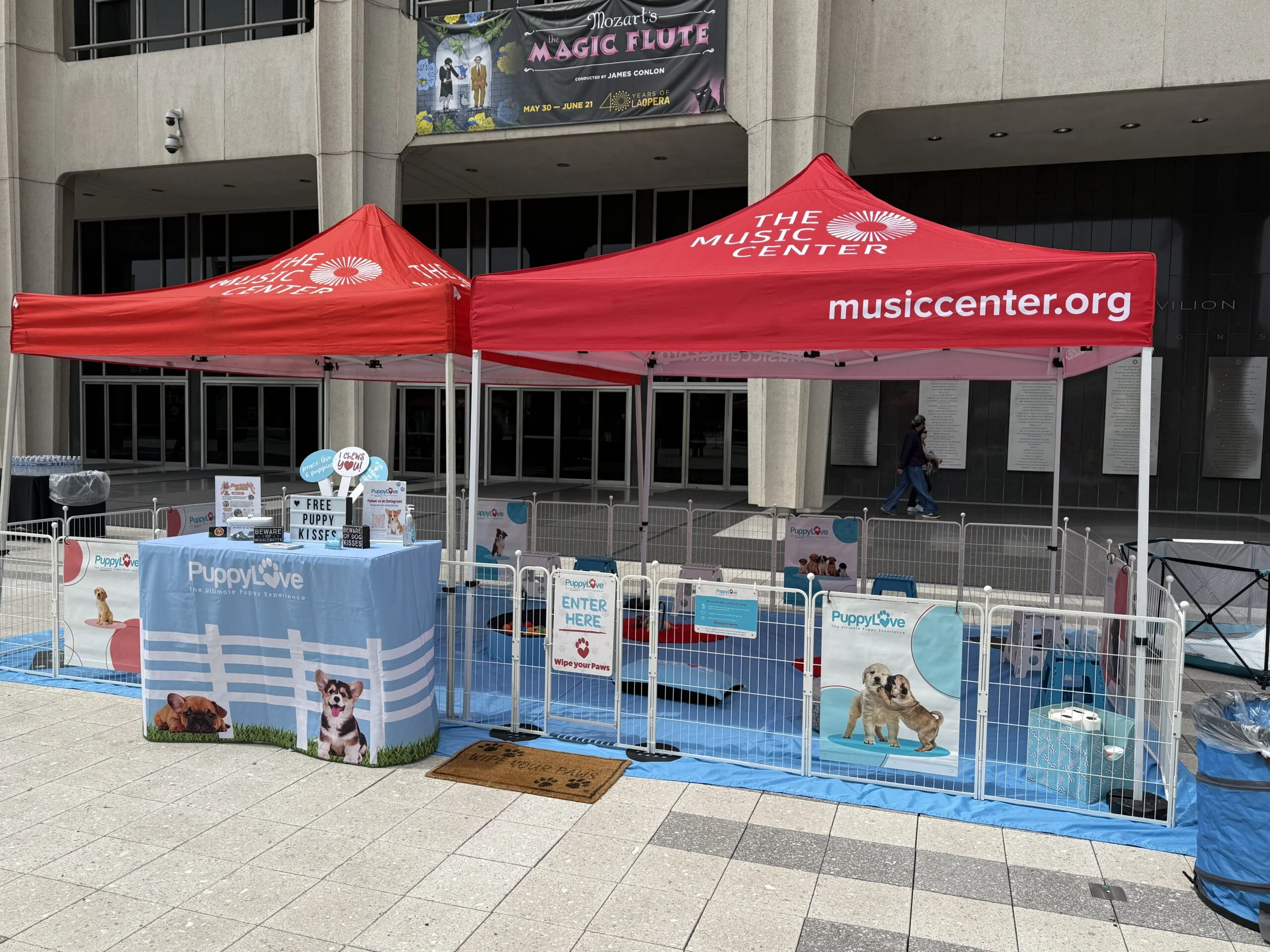 Puppy love puppy play area and event booth at the music center.