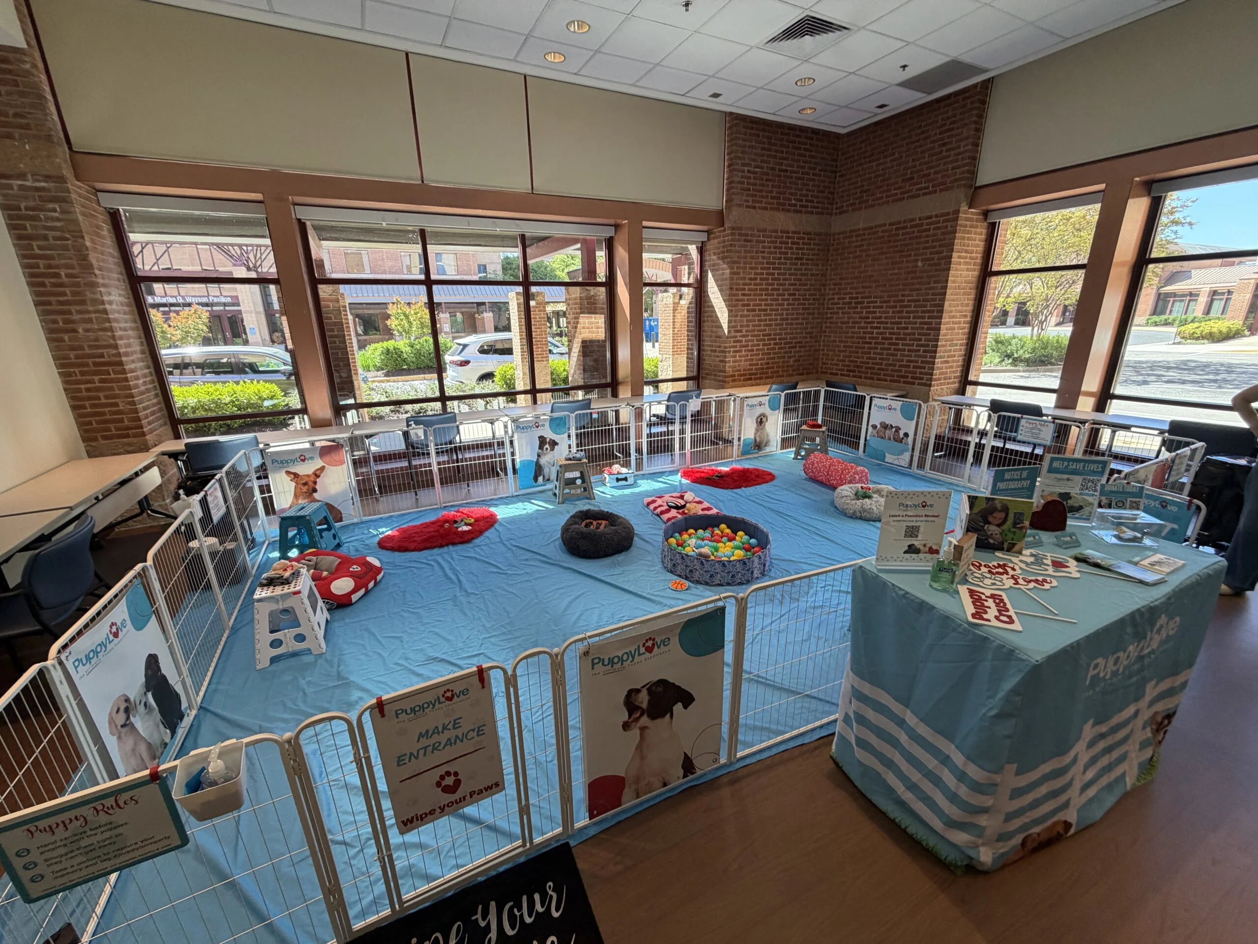 An empty puppy play area with a light blue floor tarp enclosed by a white wire fence, featuring a central ball pit, various dog beds, and a branded puppylove welcome table in a brick-walled lobby with large windows.
