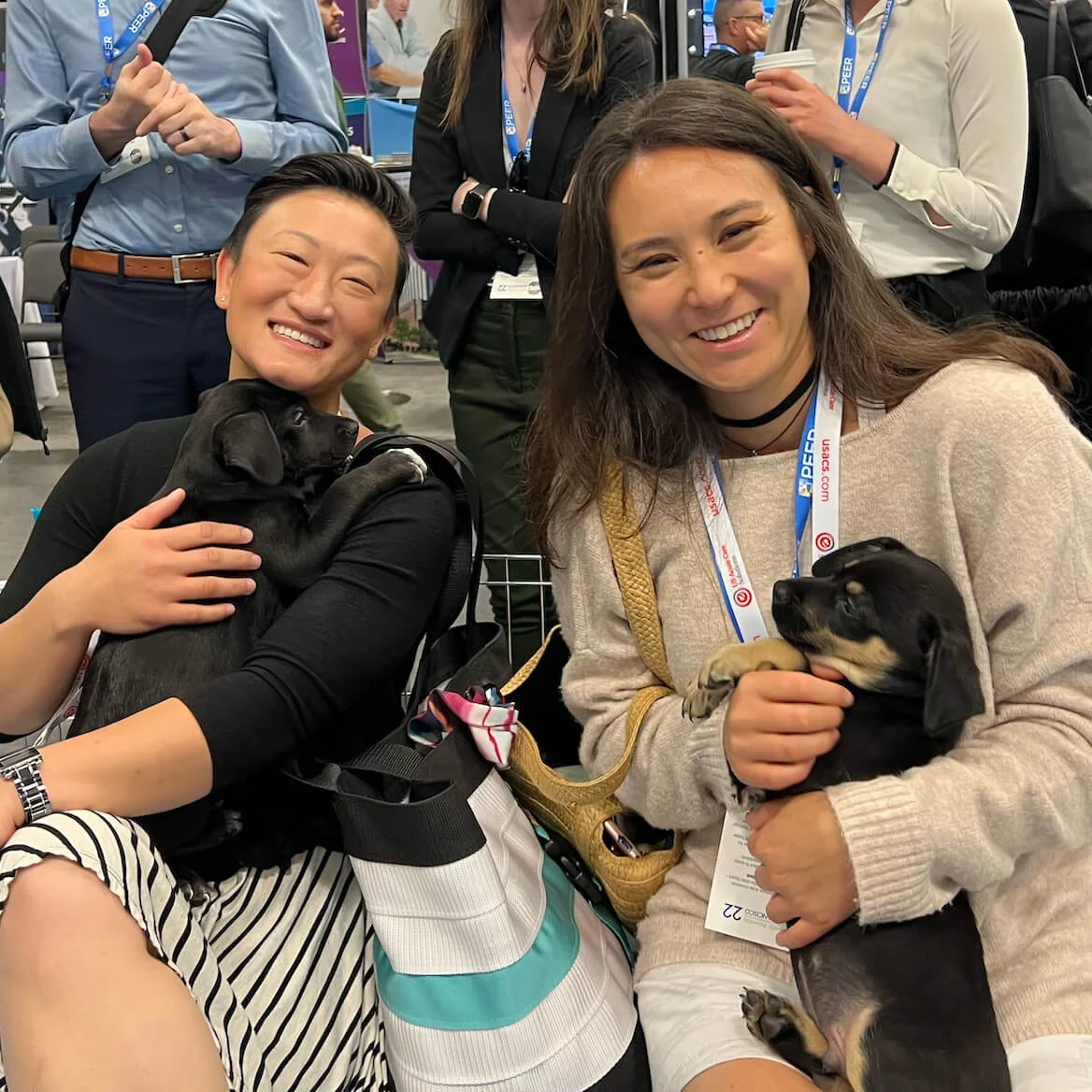 Employees at corporate wellness event snuggling puppies