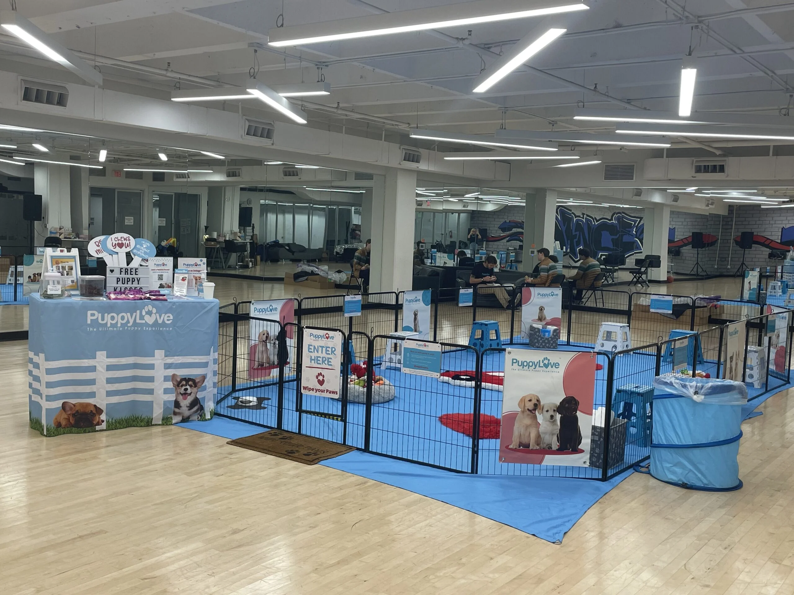 An empty puppy play area featuring a light blue floor tarp enclosed by a black wire fence, paired with a matching blue puppylove welcome table in a large mirrored dance studio.