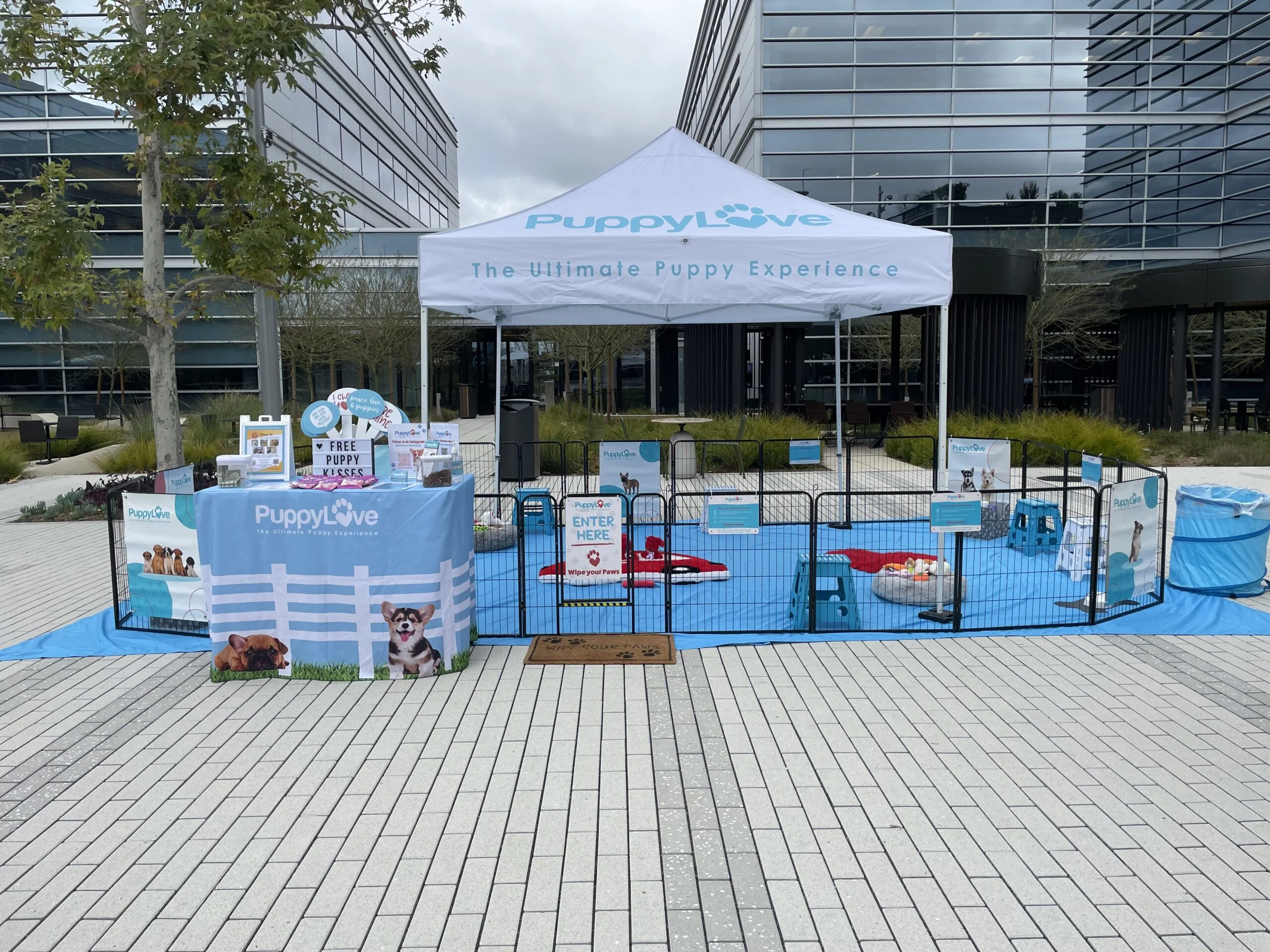 Puppy love outdoor puppy play area with welcome booth and event tent.