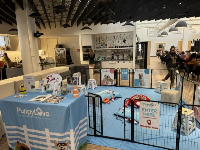 Puppy love puppy play area at an office wellness event.