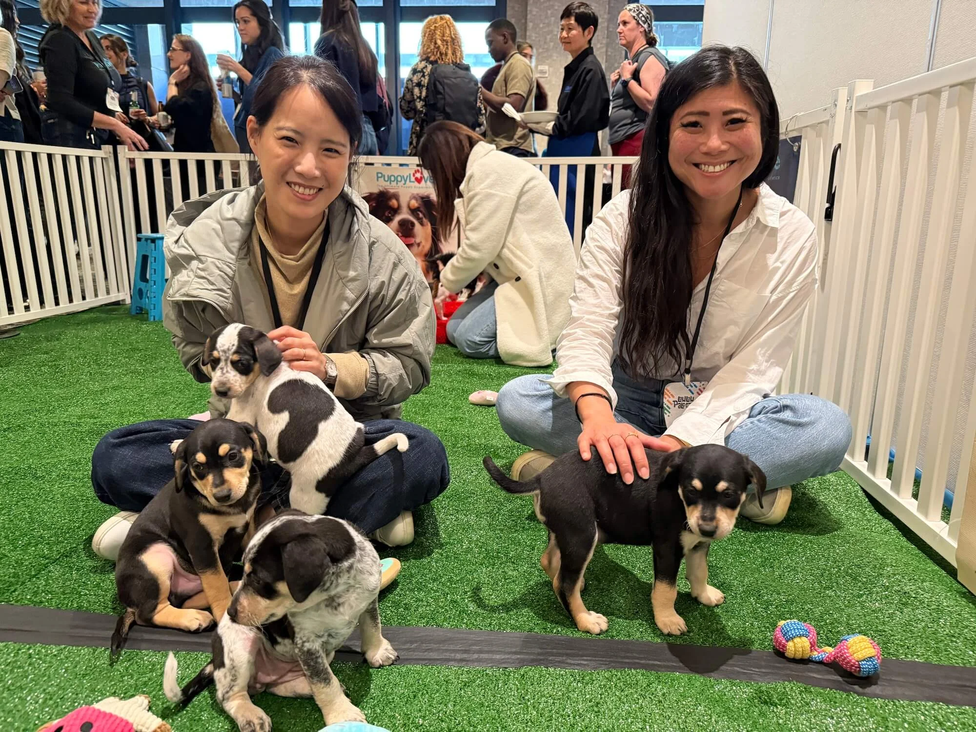 Two employees enjoying a corporate wellness event with puppies